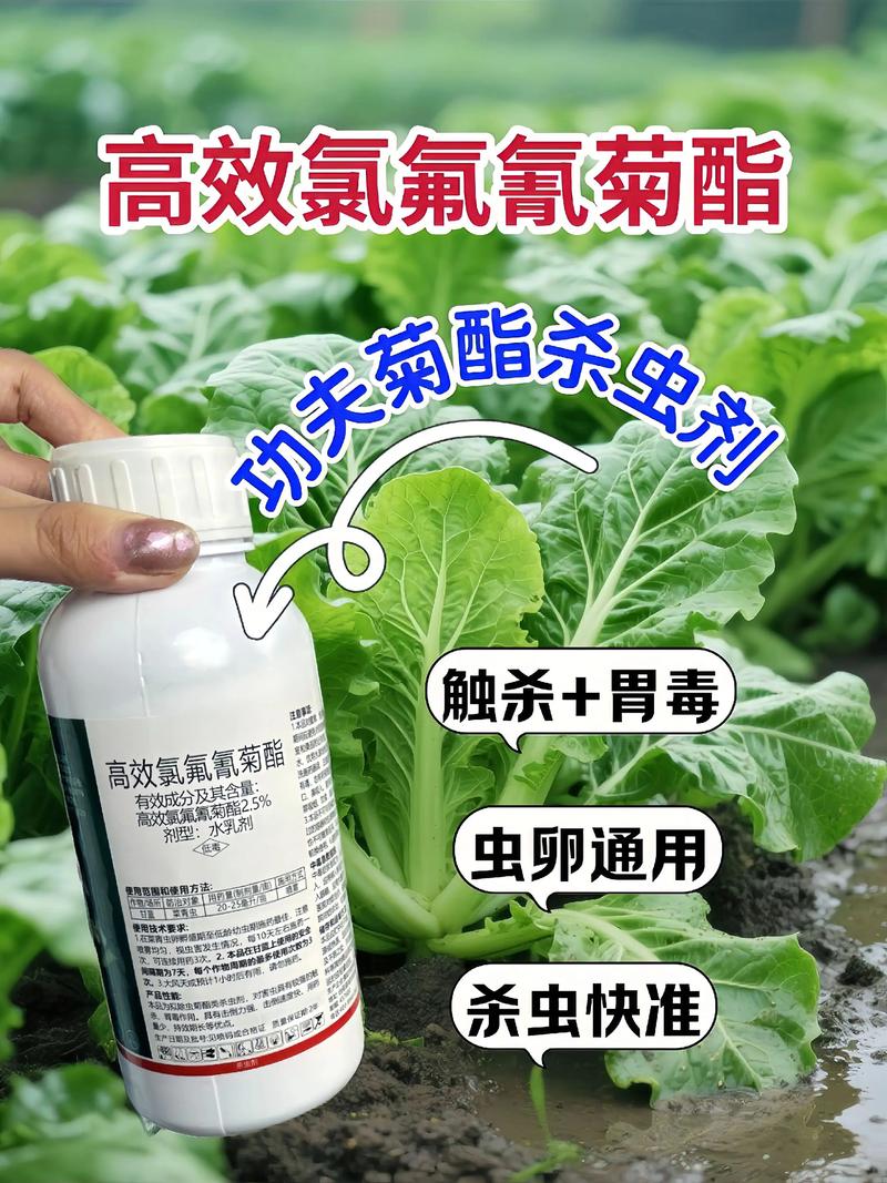 安庆代生中心:农药对供卵代生妈妈的危害